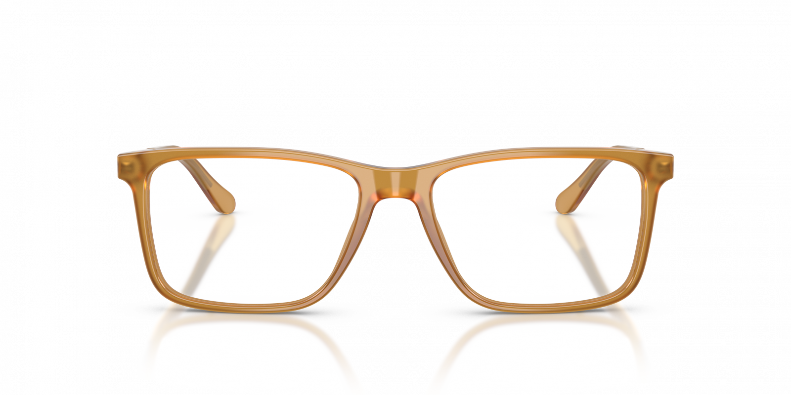Ralph Lauren RL6133 5275  